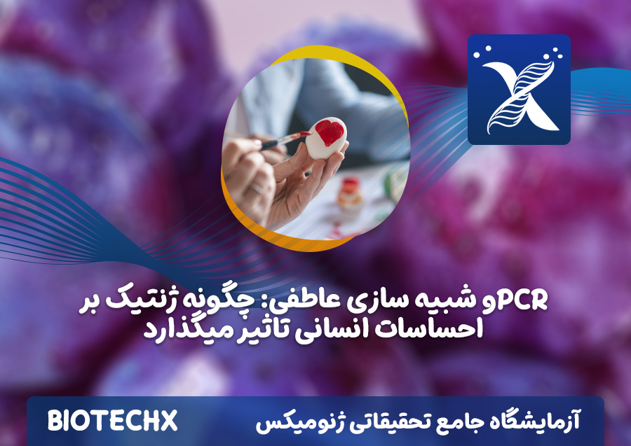 کارگاه PCR و شبیه سازی عاطفی: چگونه ژنتیک بر احساسات انسانی تاثیر می گذارد