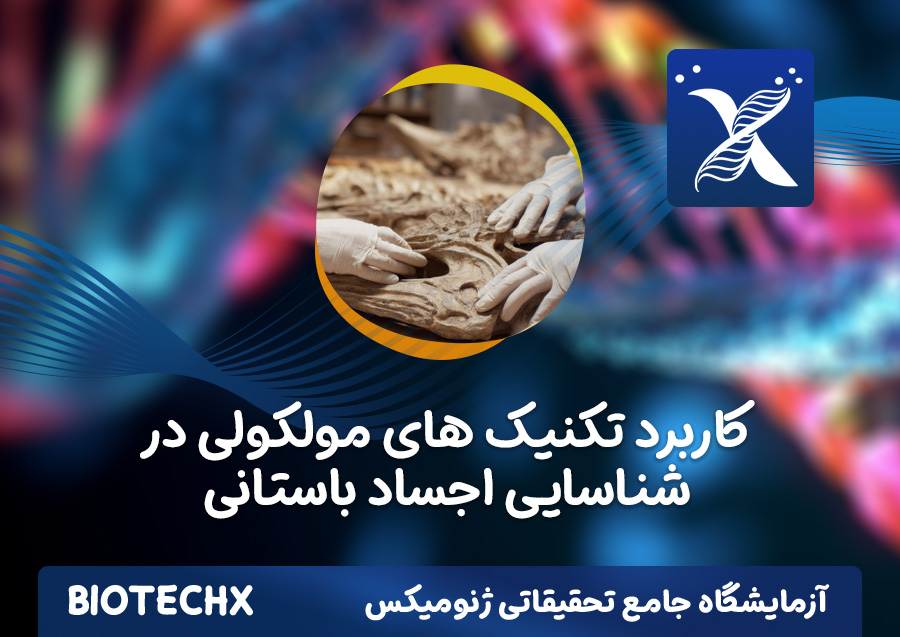 کارگاه کاربرد تکنیک های مولکولی در شناسایی اجساد باستانی