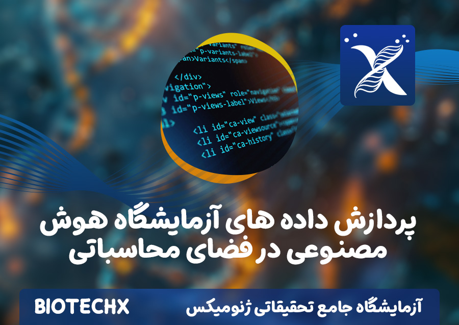 کارگاه پردازش داده های آزمایشگاه هوش مصنوعی در فضای محاسباتی