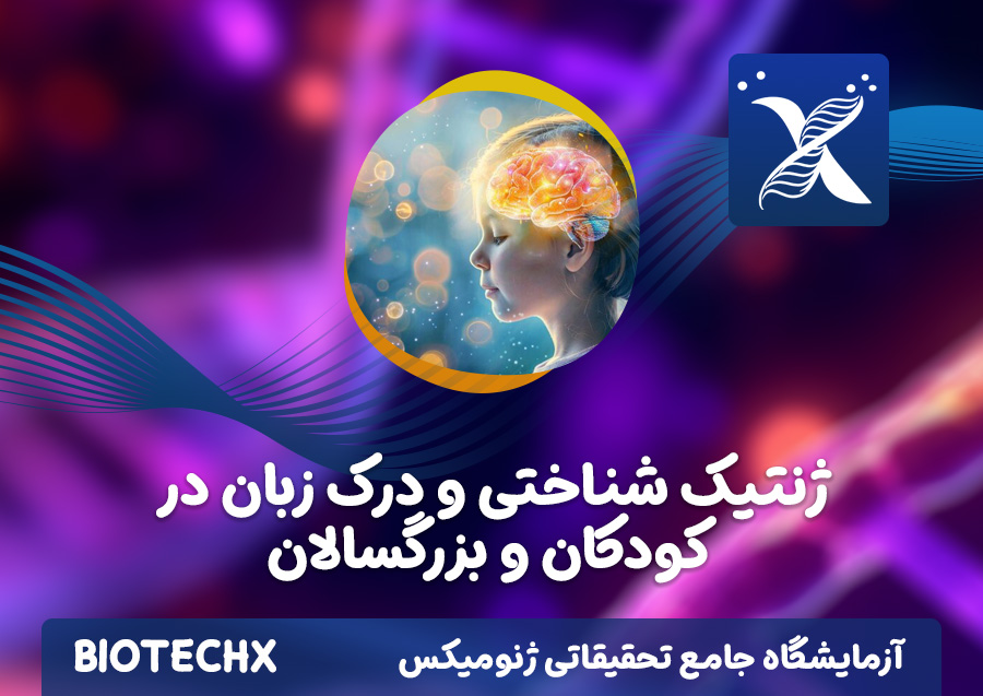 کارگاه ژنتیک شناختی و درک زبان در کودکان و بزرگسالان