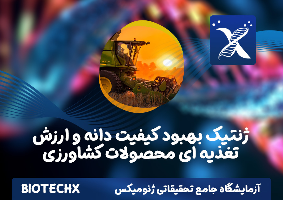 کارگاه ژنتیک بهبود کیفیت دانه و ارزش تغذیه ای محصولات کشاورزی