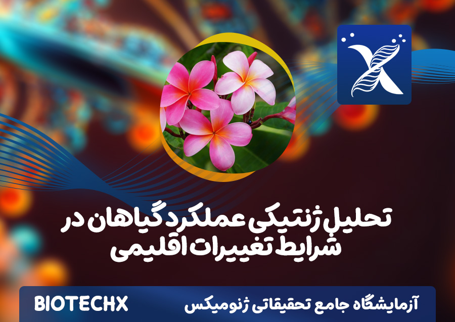 کارگاه تحلیل ژنتیکی عملکرد گیاهان در شرایط تغییرات اقلیمی